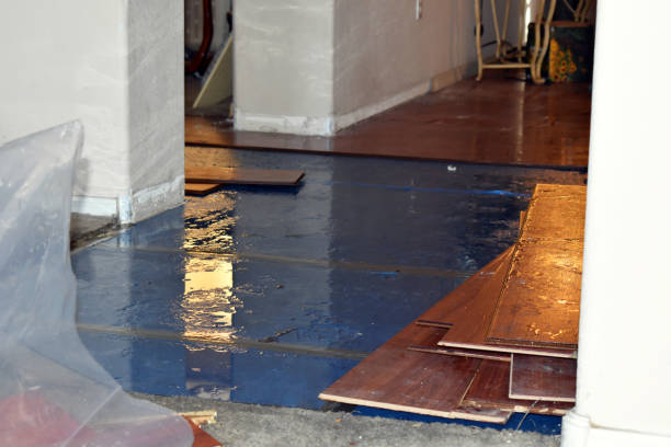 Professional Basement Water Removal technician working in Kearny, NJ