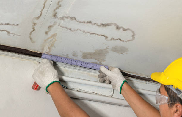 Reliable Basement Water Removal contractor in Kearny, NJ by Water Damage Irwin